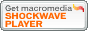 Плеер shockwave